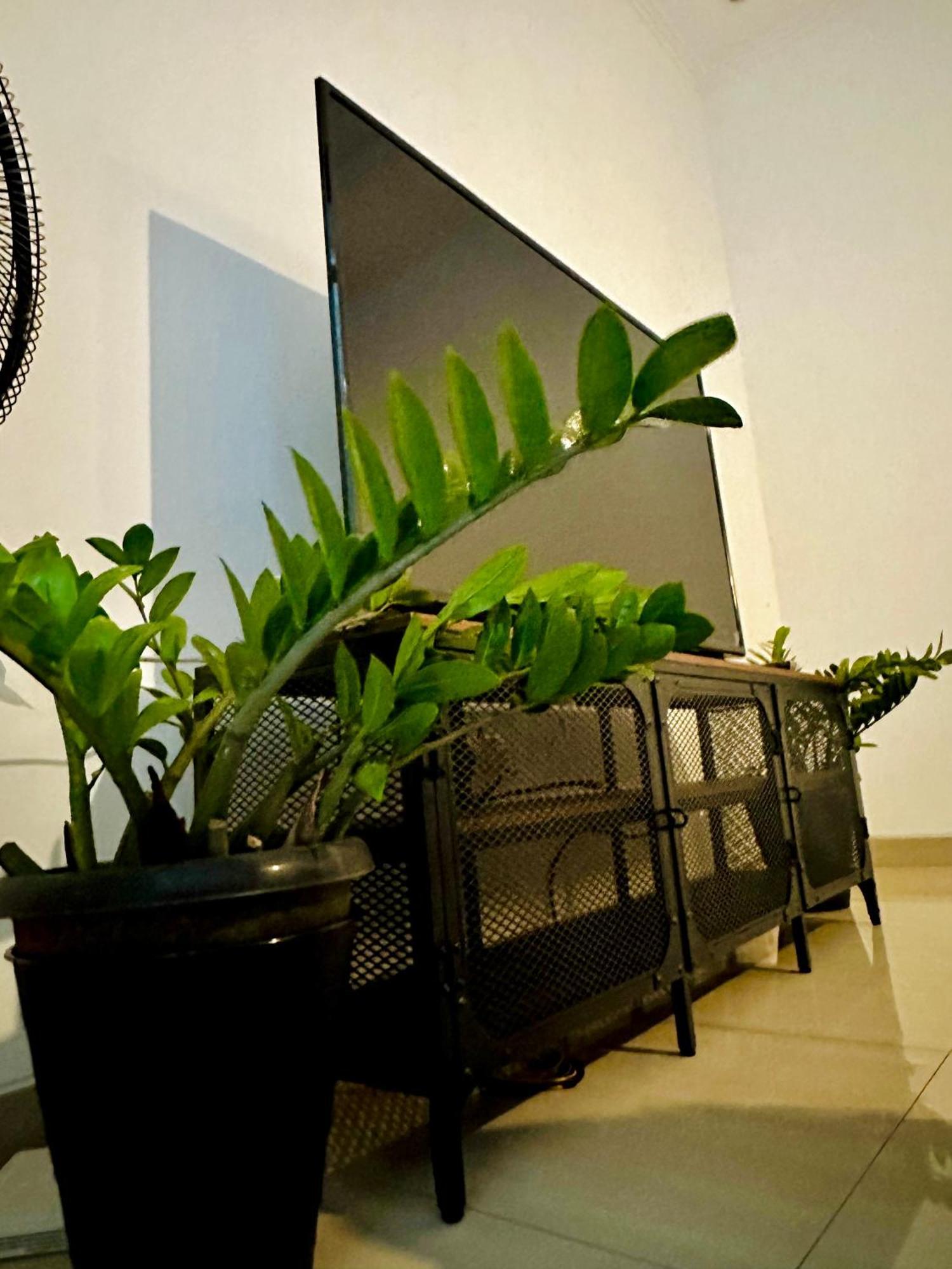 4-Bedroom Home In South Jakarta Nuansa Swadarma Residence By Le Ciel Hospitality Exterior foto